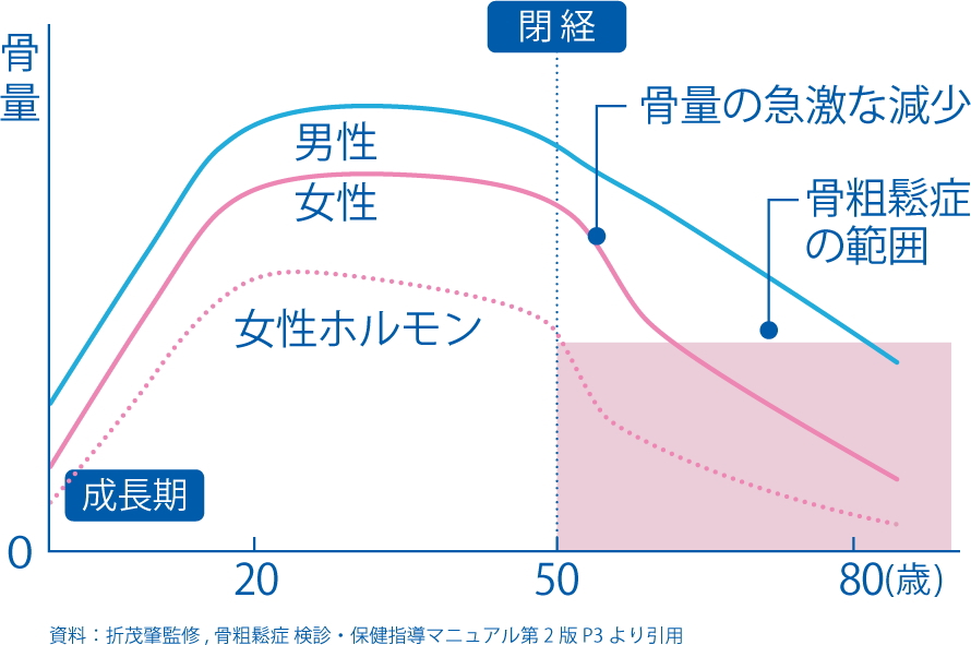 骨量グラフ