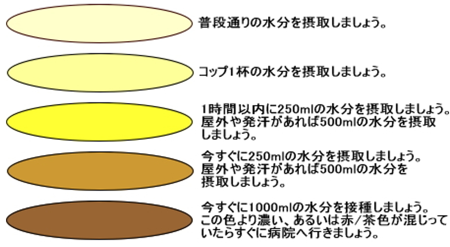 のぞみ整形外科クリニック西条　イキイキ新聞　2023年7月号①